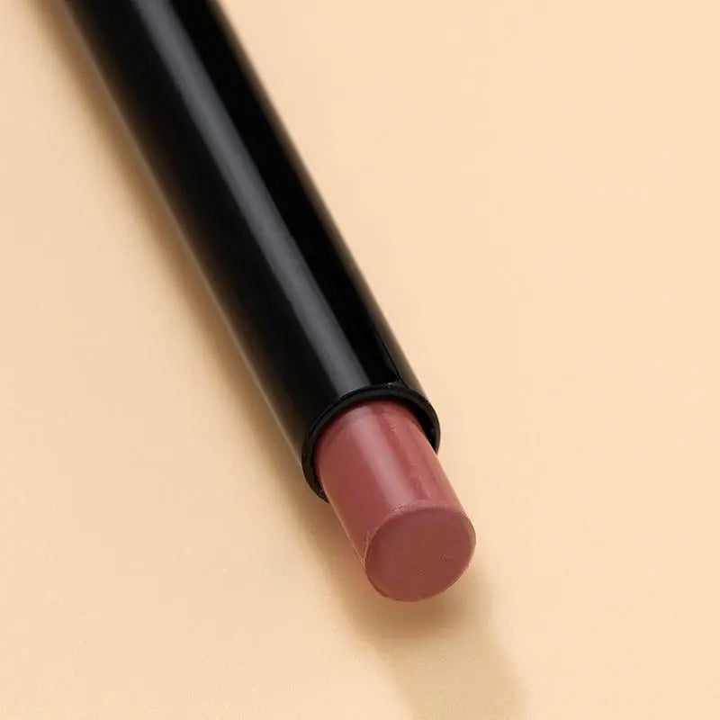 Matte Lipstick & Smooth Lip Liner, Lip Lacquer Lipliner, 2 Counts/Set Long Lasting Lip Makeup Pen for Girls & Women, Summer Makeup, Lip Cosmetic